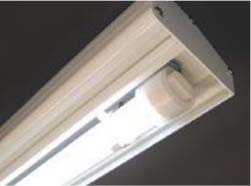 LED証明(オプション)