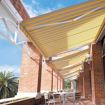 ニュースーパーマキシム