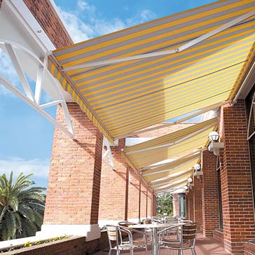 ニュースーパーマキシム